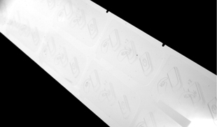 Printed protective tape